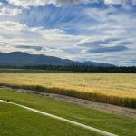 Picturesque Expanse of Canada’s Yukon Territory