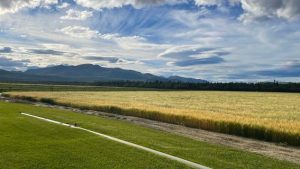 Picturesque Expanse of Canada’s Yukon Territory